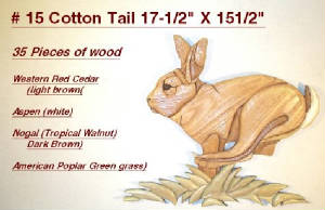 15-Cottontail.jpg