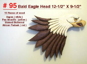 Birds/95_Bald_Eagle_Head..jpg