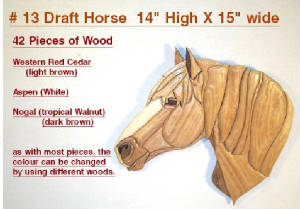 Horses/13-Draft-Horse.jpg